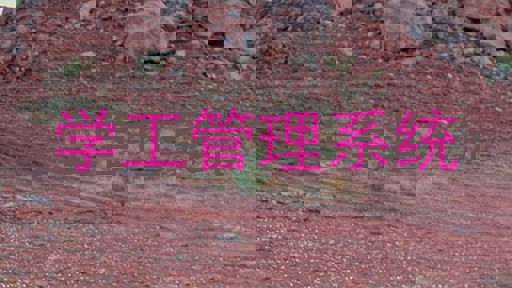 学工管理系统