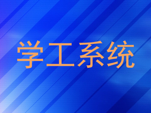 学工系统
