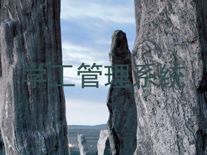 学工管理系统