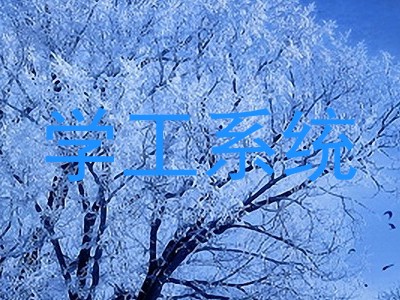 学工系统