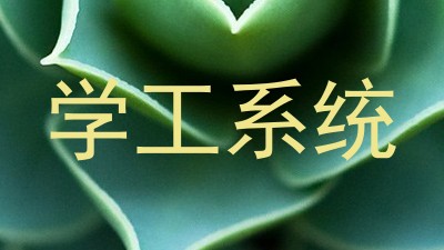 学工系统