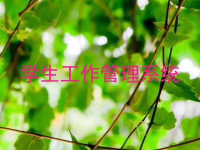 学生工作管理系统