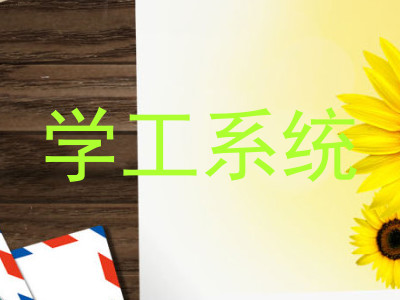 学工系统