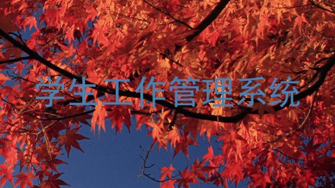 学生工作管理系统