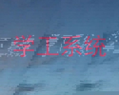 学工系统