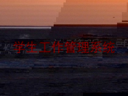 学生工作管理系统