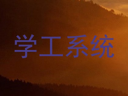 学工系统