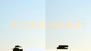 学生管理信息系统