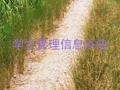 学生管理信息系统