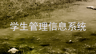 学生管理信息系统