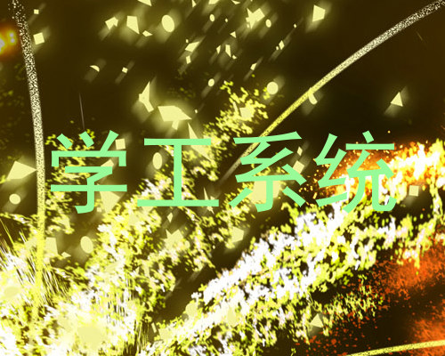 学工系统