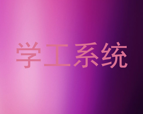 学工系统