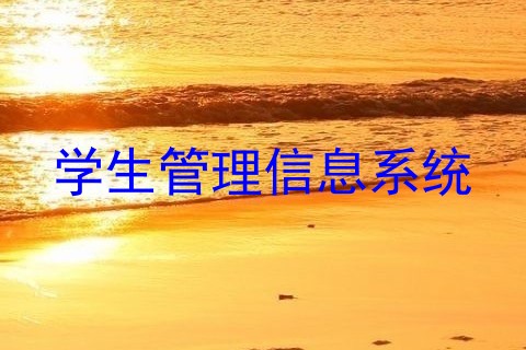 学生管理信息系统