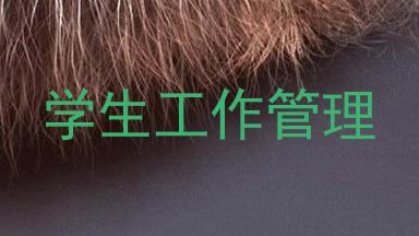 学生工作管理