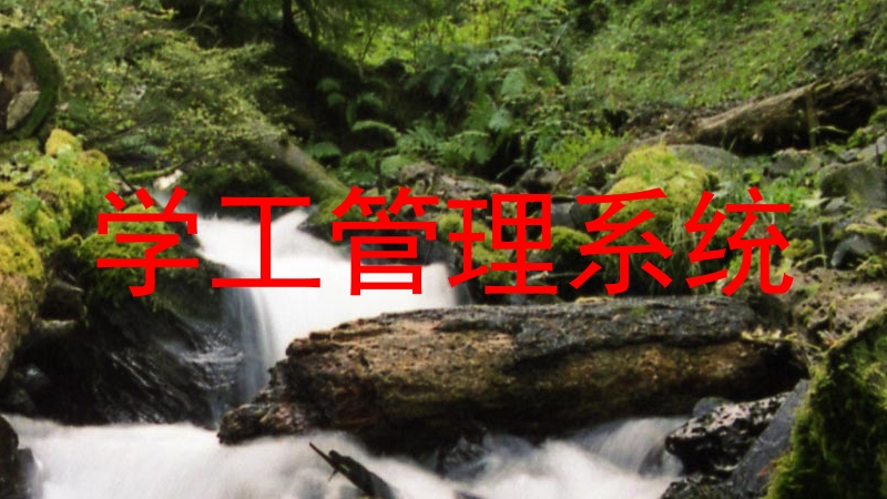 学工管理系统