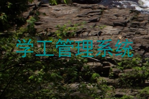 学工管理系统