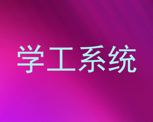 学工系统