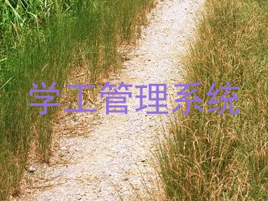 学工管理系统