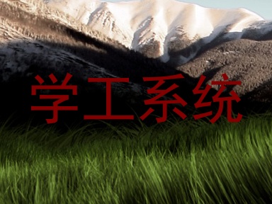 学工系统