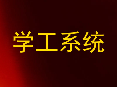 学工系统