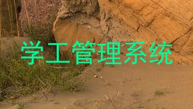 学工管理系统