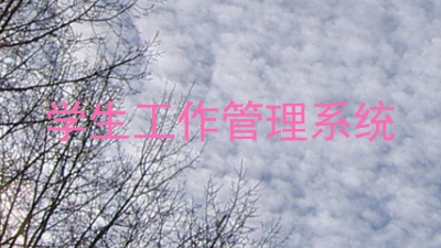 学生工作管理系统