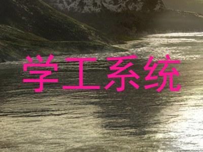 学工系统