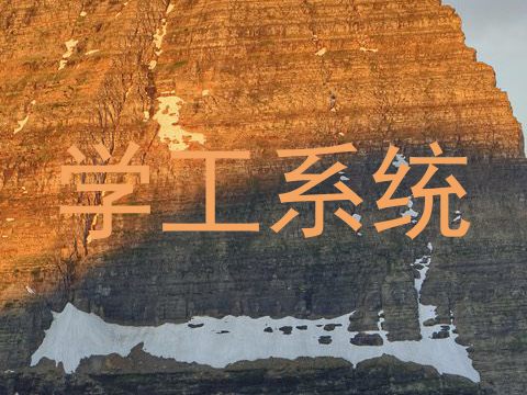 学工系统