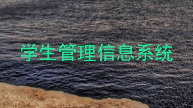 学生管理信息系统