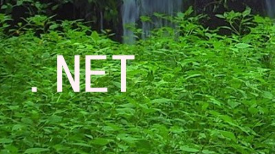 .NET