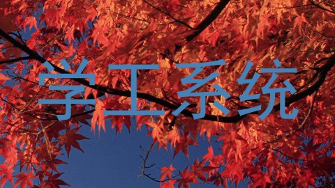 学工系统