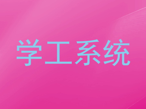 学工系统