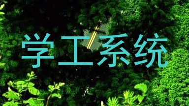 学工系统