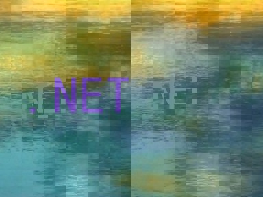 .NET