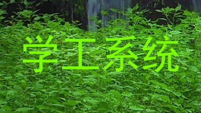 学工系统
