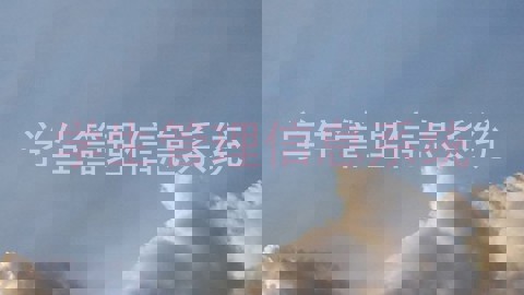 学生管理信息系统