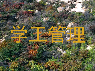 学工管理