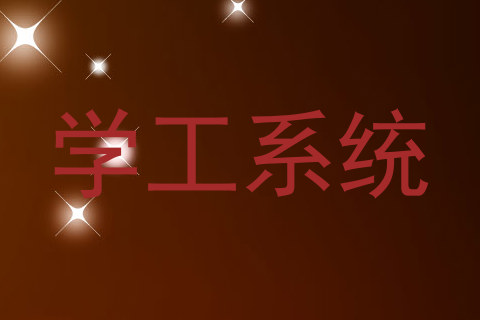 学工系统