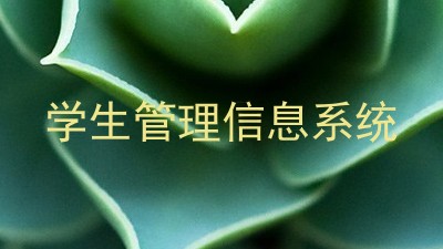 学生管理信息系统