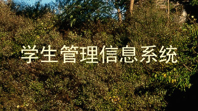 学生管理信息系统
