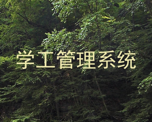 学工管理系统