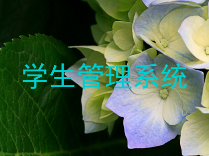 学生管理系统