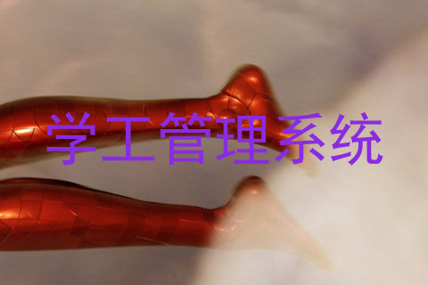 学工管理系统