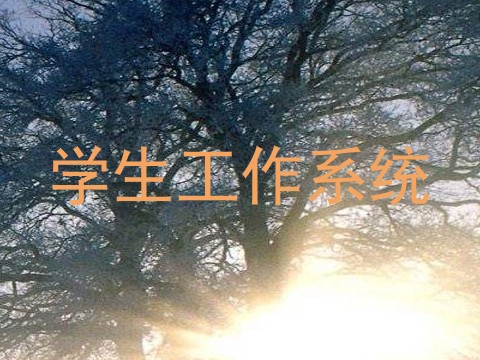 学生工作系统