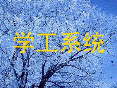 学工系统