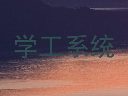 学工系统