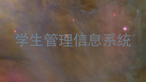 学生管理信息系统