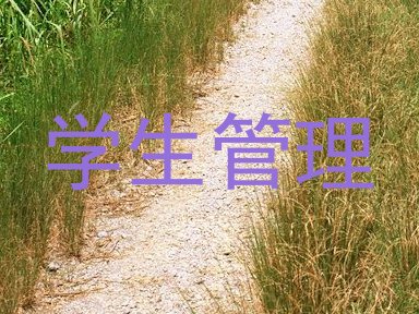 学生管理
