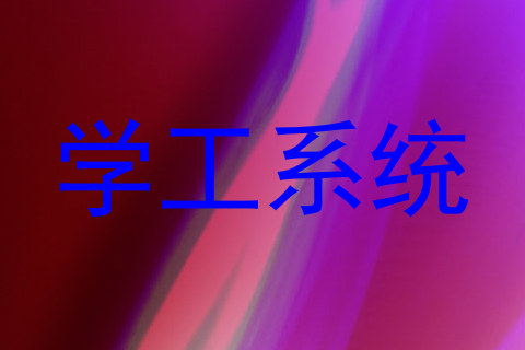 学工系统
