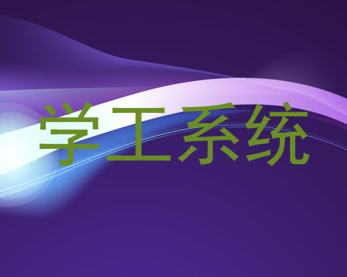 学工系统